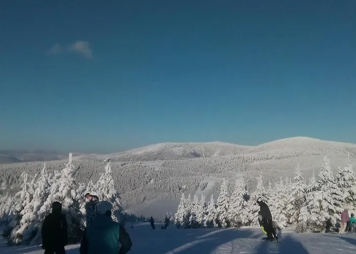 Pod Bukovkou * Petrov nad Desnou